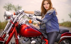 办公室的交易HD在线